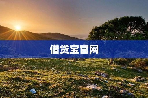 借贷宝官网:让你轻松解决资金需求的首选平台 借贷宝官网:让你轻松解决资金需求的首选平台