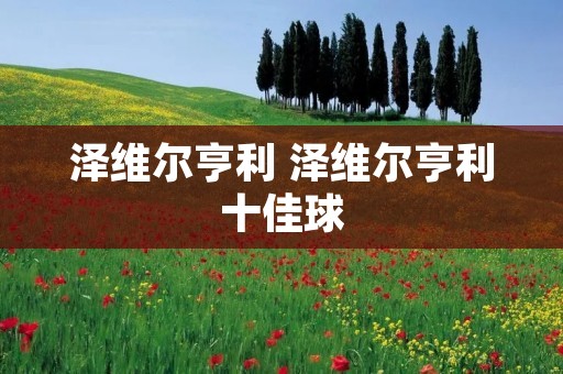 泽维尔亨利 泽维尔亨利十佳球 泽维尔亨利 泽维尔亨利十佳球