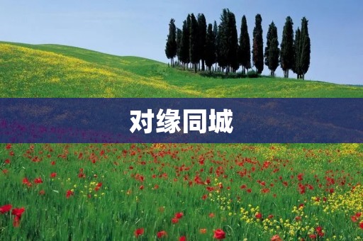 对缘同城：打造城市社交新平台