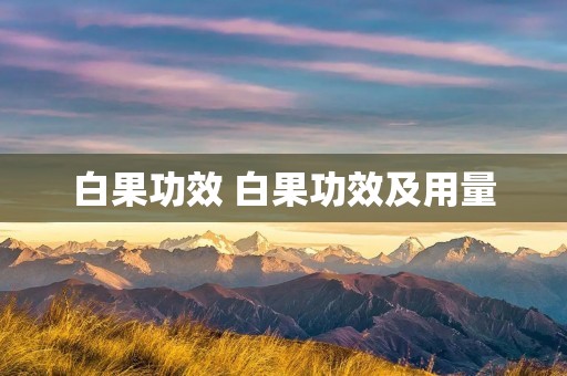 白果功效 白果功效及用量