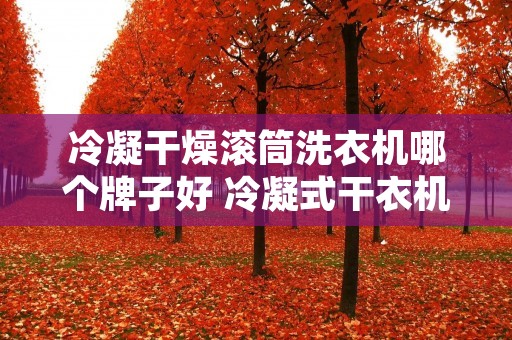 冷凝干燥滚筒洗衣机哪个牌子好 冷凝式干衣机的优点缺点
