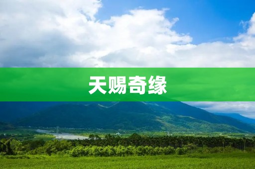天赐奇缘:两颗心的奇妙邂逅
