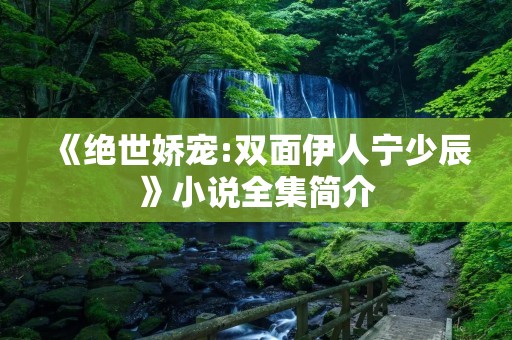 《绝世娇宠:双面伊人宁少辰》小说全集简介