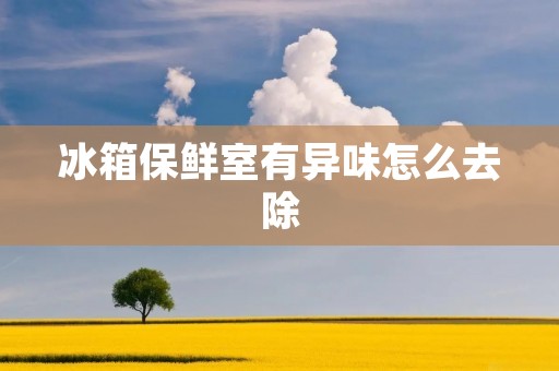 冰箱保鲜室有异味怎么去除
