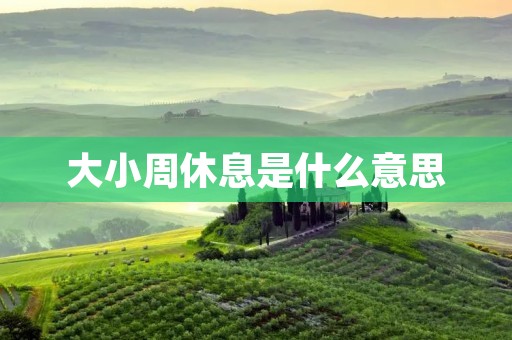 大小周休息是什么意思 大小周休息是什么意思