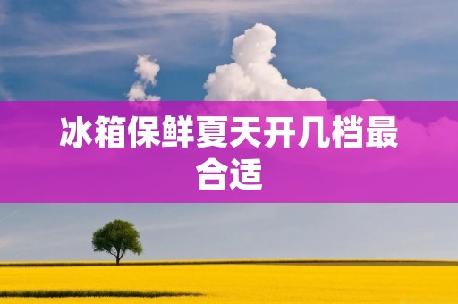 冰箱保鲜夏天开几档最合适