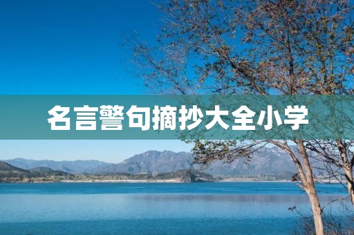 名言警句摘抄大全小学:激励孩子成长的智慧语录
