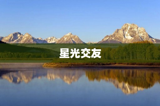 星光交友：寻找真爱与友谊的最佳平台