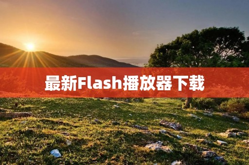 最新Flash播放器下载：让你畅享高清流畅视频体验