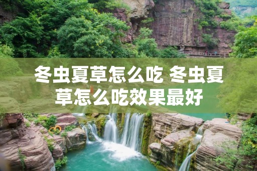 冬虫夏草怎么吃 冬虫夏草怎么吃效果最好