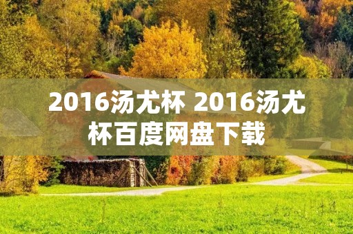 2016汤尤杯 2016汤尤杯百度网盘下载