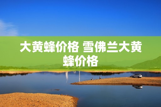 大黄蜂价格 雪佛兰大黄蜂价格