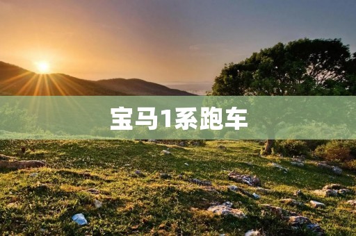 宝马1系跑车:纯粹驾驶乐趣的极致体验 宝马1系跑车:纯粹驾驶乐趣的极致体验