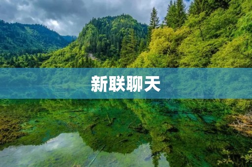 新联聊天:实现即时高效沟通的新一代聊天工具 新联聊天:实现即时高效沟通的新一代聊天工具