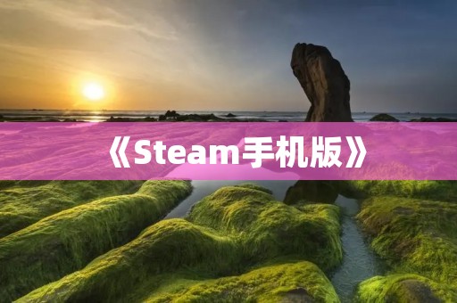 《Steam手机版》：打开游戏世界的钥匙