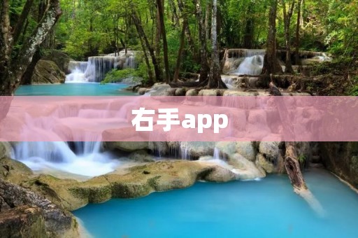 右手app：让你的生活更加便捷高效