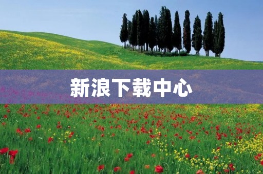 新浪下载中心:为您提供全面的软件资源 新浪下载中心:为您提供全面的软件资源