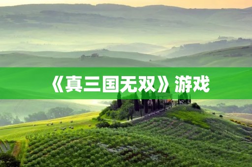 《真三国无双》游戏:一款让你身临其境的三国战场