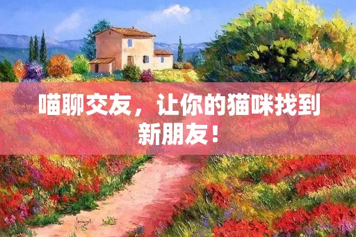 喵聊交友，让你的猫咪找到新朋友！
