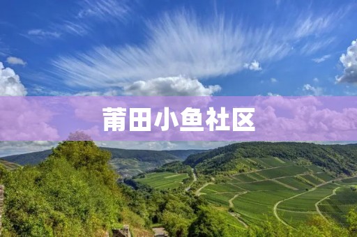 莆田小鱼社区：打造全民共建、和谐发展的城市样板