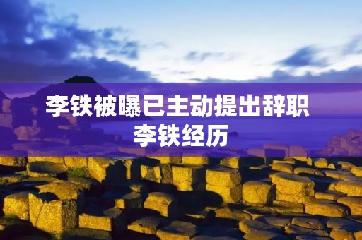 李铁被曝已主动提出辞职 李铁经历