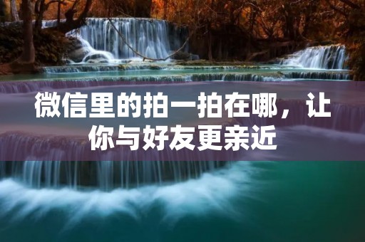 微信里的拍一拍在哪,让你与好友更亲近
