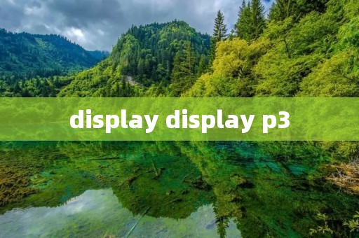 display display p3