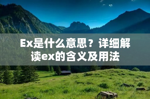 Ex是什么意思?详细解读ex的含义及用法 Ex是什么意思?详细解读ex的含义及用法