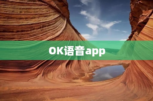 OK语音app：让你的语音控制手机