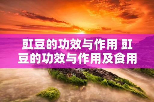 豇豆的功效与作用 豇豆的功效与作用及食用方法