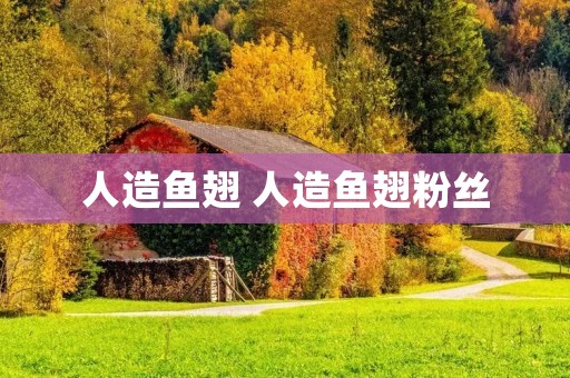 人造鱼翅 人造鱼翅粉丝