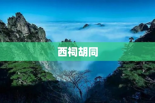 西祠胡同:一窥中国网络社区的独特风景 西祠胡同:一窥中国网络社区的独特风景