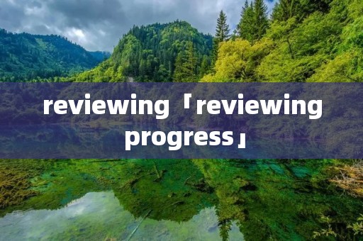 reviewing「reviewing progress」