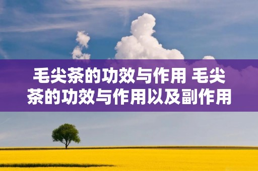 毛尖茶的功效与作用 毛尖茶的功效与作用以及副作用