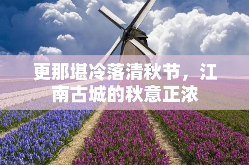 更那堪冷落清秋节,江南古城的秋意正浓