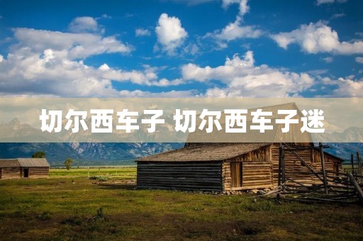 切尔西车子 切尔西车子迷