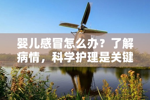 婴儿感冒怎么办?了解病情,科学护理是关键