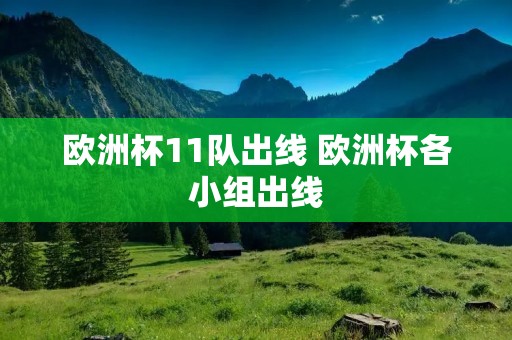 欧洲杯11队出线 欧洲杯各小组出线