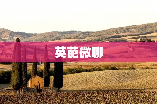 英葩微聊：解放你的社交心声