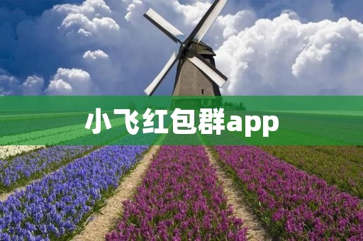 小飞红包群app：畅享红包互动，轻松拼手气！