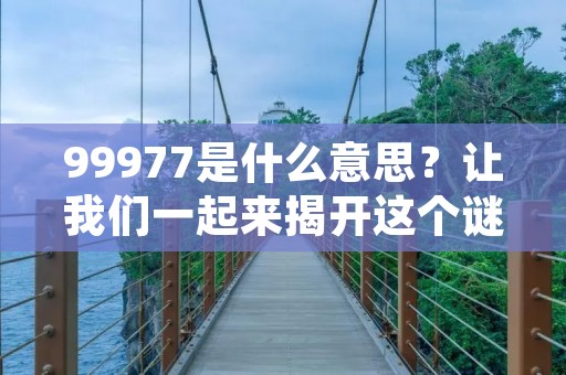 99977是什么意思?让我们一起来揭开这个谜团吧! 99977是什么意思?让我们一起来揭开这个谜团吧!
