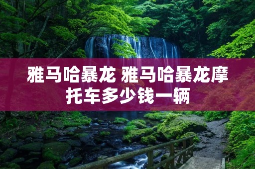 雅马哈暴龙 雅马哈暴龙摩托车多少钱一辆 雅马哈暴龙 雅马哈暴龙摩托车多少钱一辆