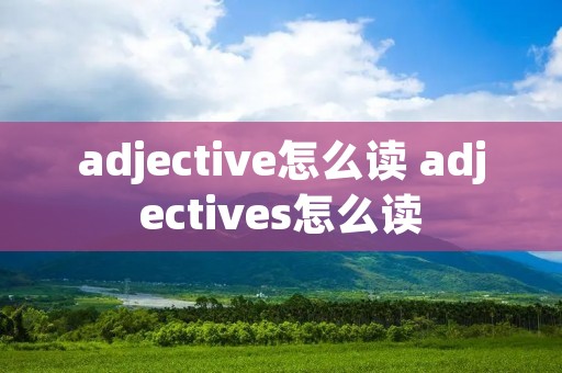 adjective怎么读 adjectives怎么读