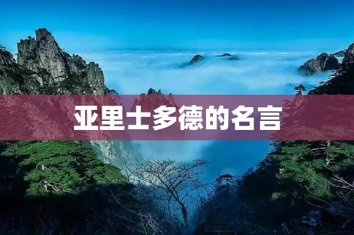 亚里士多德的名言：人之所以能成为自由的，理性的动物，是因为他具有语言能力