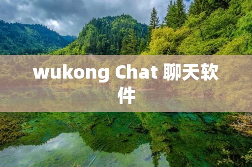 wukong Chat 聊天软件：打开无限交流的大门