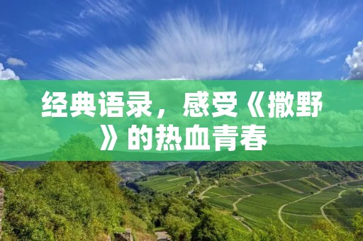 经典语录，感受《撒野》的热血青春