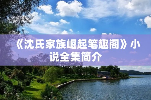 《沈氏家族崛起笔趣阁》小说全集简介