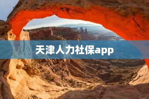 天津人力社保app：让社保服务更加便捷