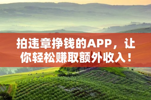 拍违章挣钱的APP,让你轻松赚取额外收入! 拍违章挣钱的APP,让你轻松赚取额外收入!