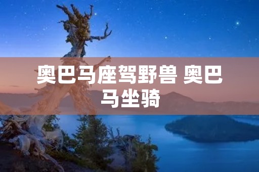 奥巴马座驾野兽 奥巴马坐骑